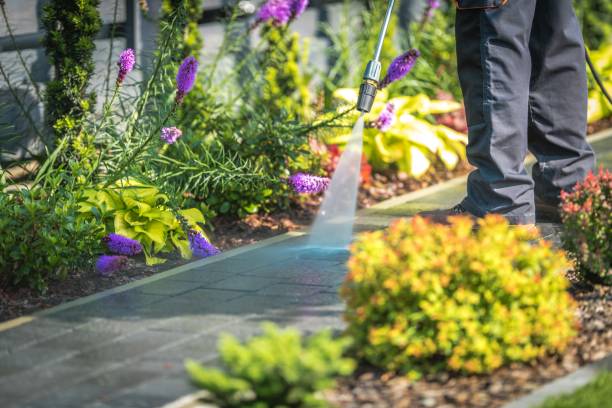 Reliable Pleasanton, TX  Pressure Washing Services Solutions