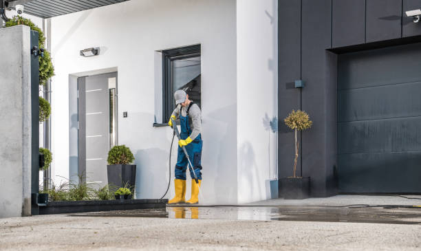 Best Soft Washing  in Pleasanton, TX